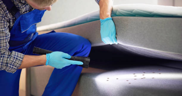 Reliable Rochelle, IL Pest Control Solutions