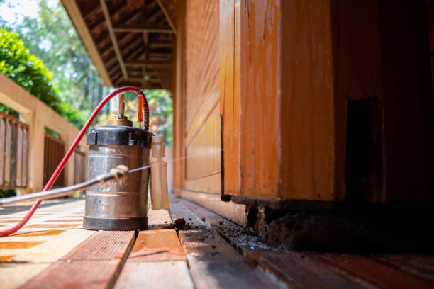 Best Pest Control for Restaurants  in Rochelle, IL