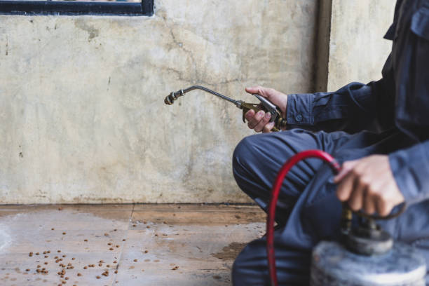 Best Exterminator Services  in Rochelle, IL